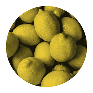 v-lemon enriched