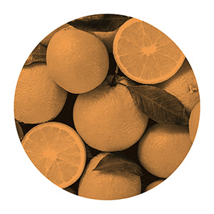 v-orange enriched, spain, valencia type